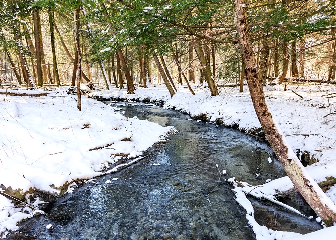 White Pine Springs